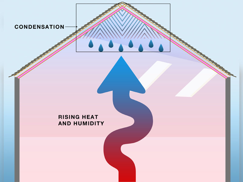 3 Steps To Get Rid Of Ceiling Condensation Medford Remodeling