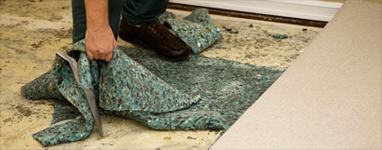 _____________4216052_orig