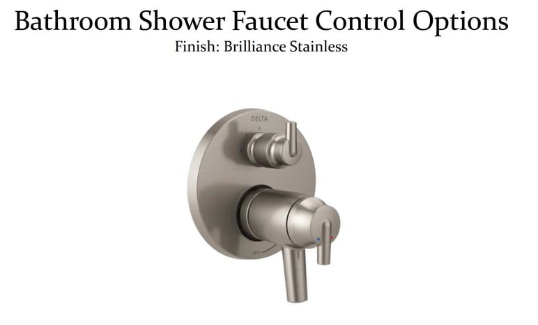 Master Bathroom Remodel - Selection Items