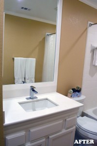 guest_bath_sink AFTER