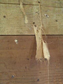 historic home renovation