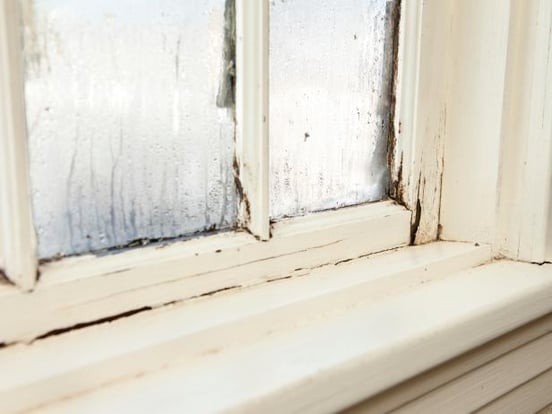 iStock-15602174_window-sill_s4x3_jpg_rend_hgtvcom_616_462