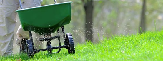 Lawn Maintenance