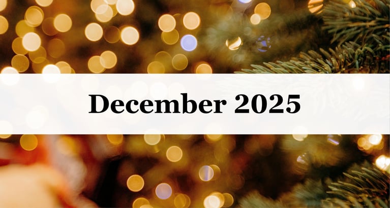 Our December Newsletter