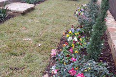 Backyard Putting Green