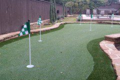 Backyard Putting Green