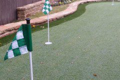 Backyard Putting Green