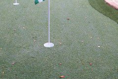 Backyard Putting Green