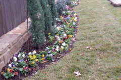 Backyard Putting Green