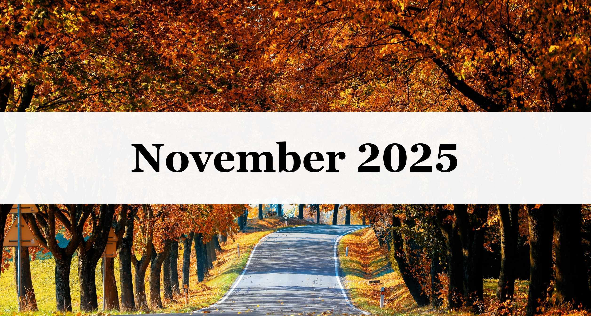 Our November Newsletter