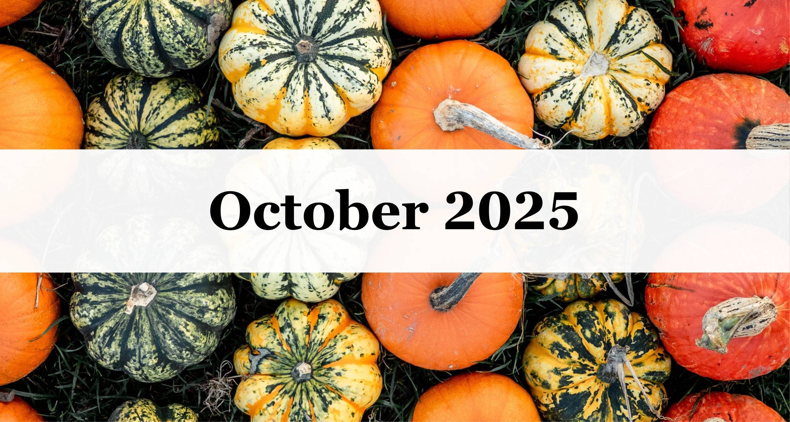 Our October Newsletter