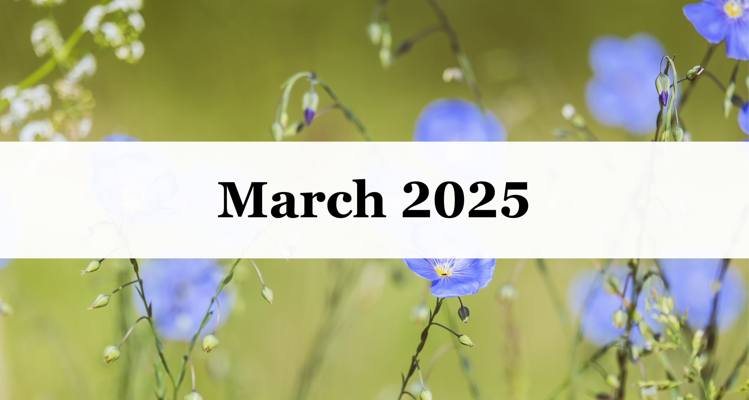 Our March 2025 Newsletter Our March 2025 Newsletter