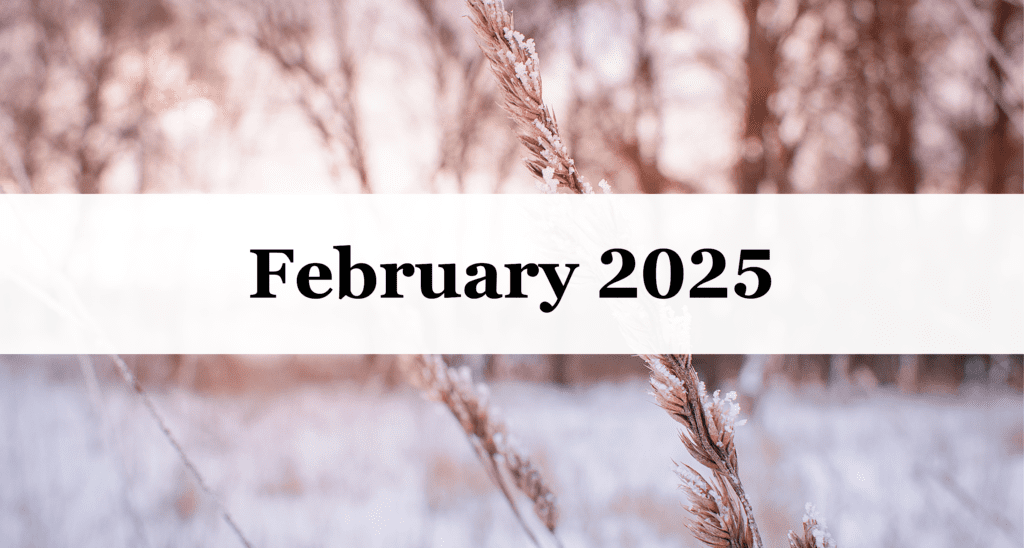 Our February 2025 Newsletter Our February 2025 Newsletter