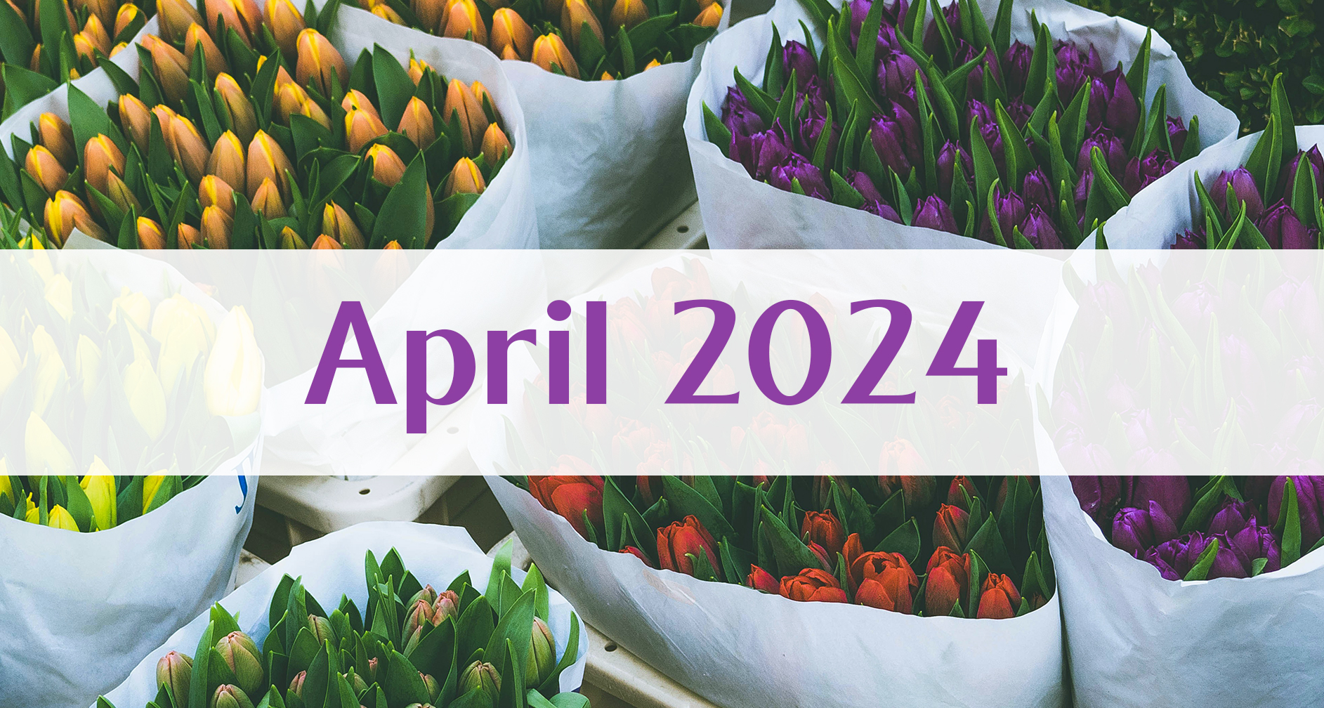 Our April 2024 Newsletter: Medford Remodeling