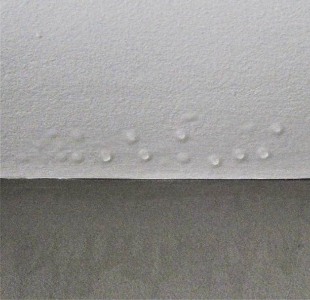 Mike's Guys: How to Get Rid of Ceiling Condensation Mike's Guys: How to Get Rid of Ceiling Condensation
