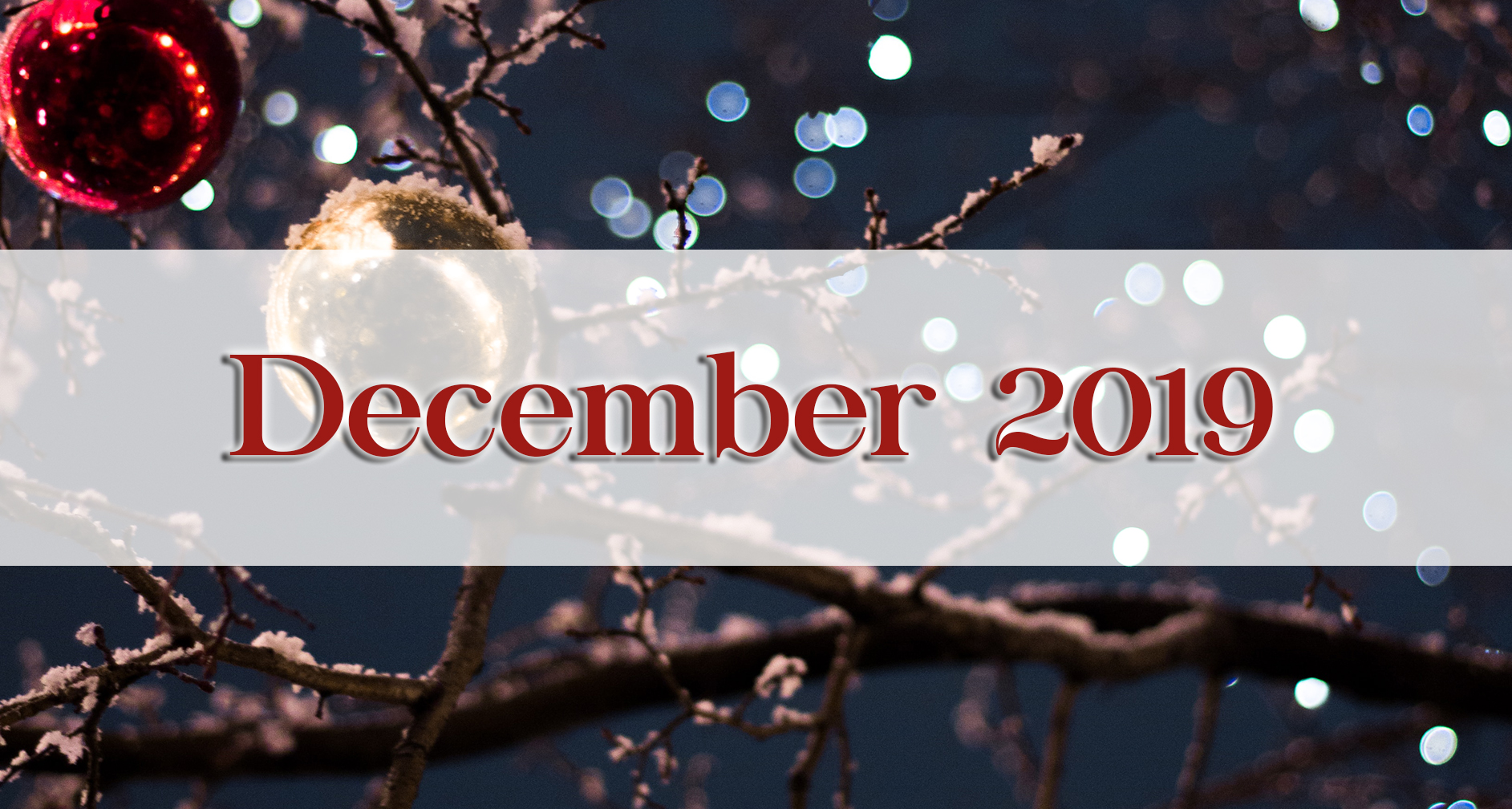 Our December 2019 Newsletter - Medford Design-Build