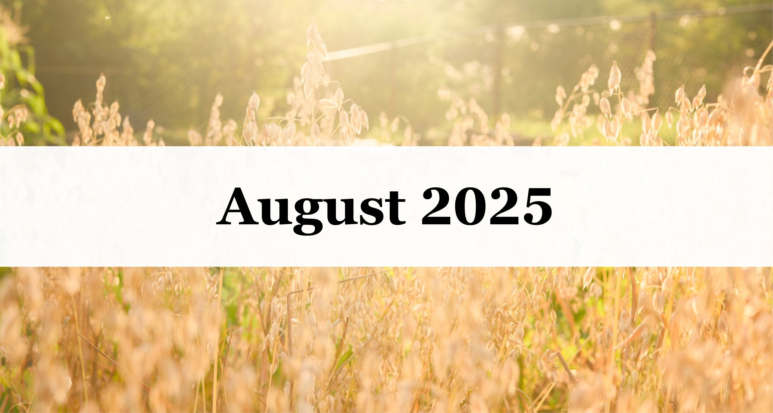 Our August 2025 Newsletter Our August 2025 Newsletter