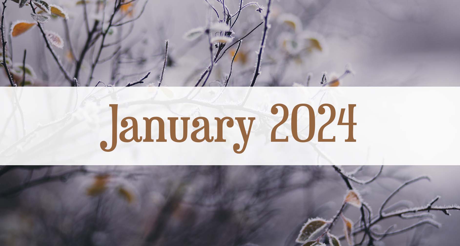 Our January 2024 Newsletter: Medford Remodeling