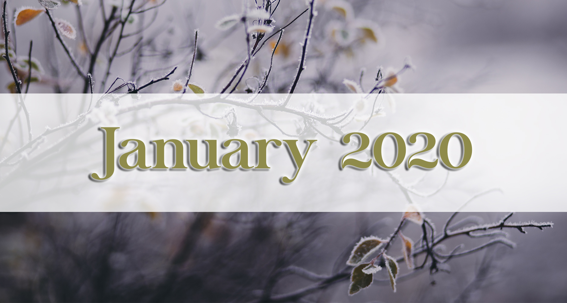 Our January 2020 Newsletter - Medford Design-Build