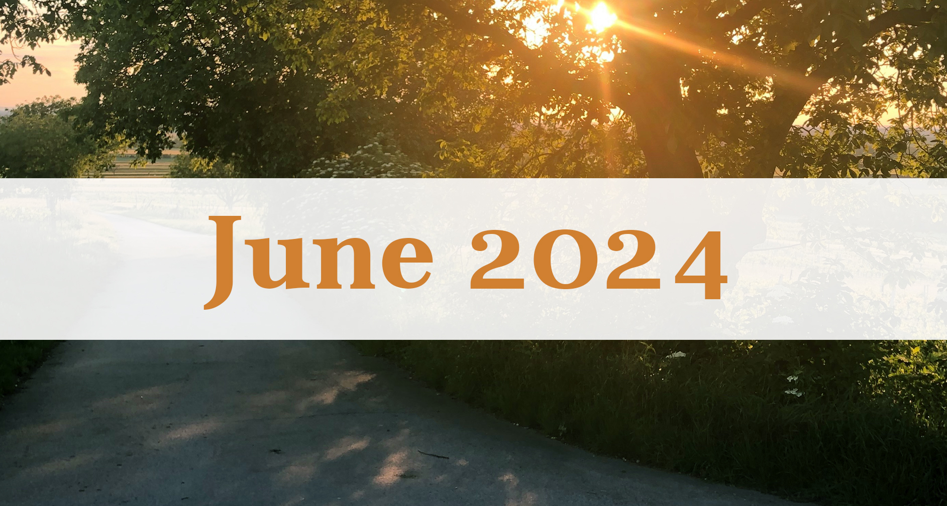 Our June 2024 Newsletter: Medford Remodeling
