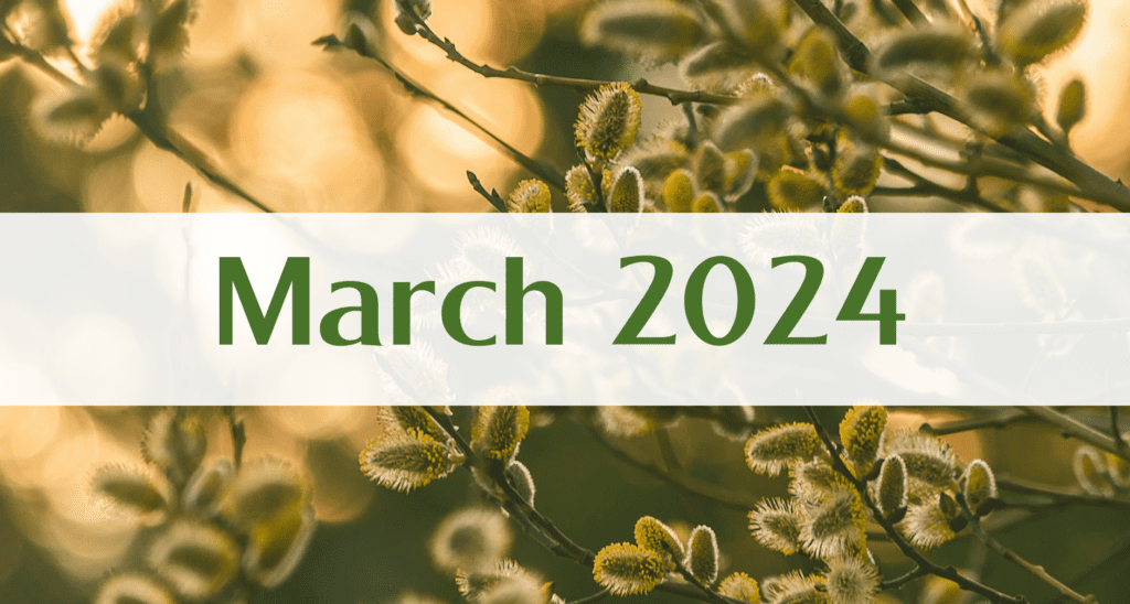 Our March 2024 Newsletter: Medford Remodeling