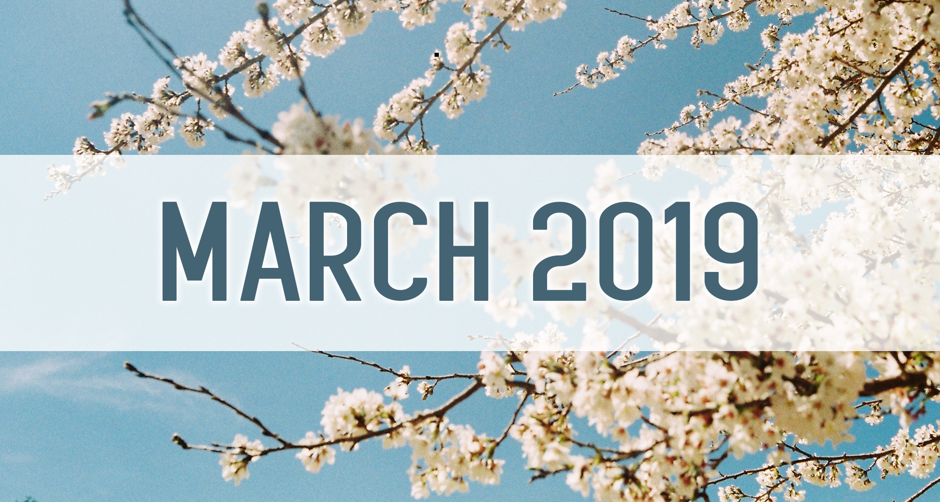 Our March 2019 Newsletter - Medford Design-Build