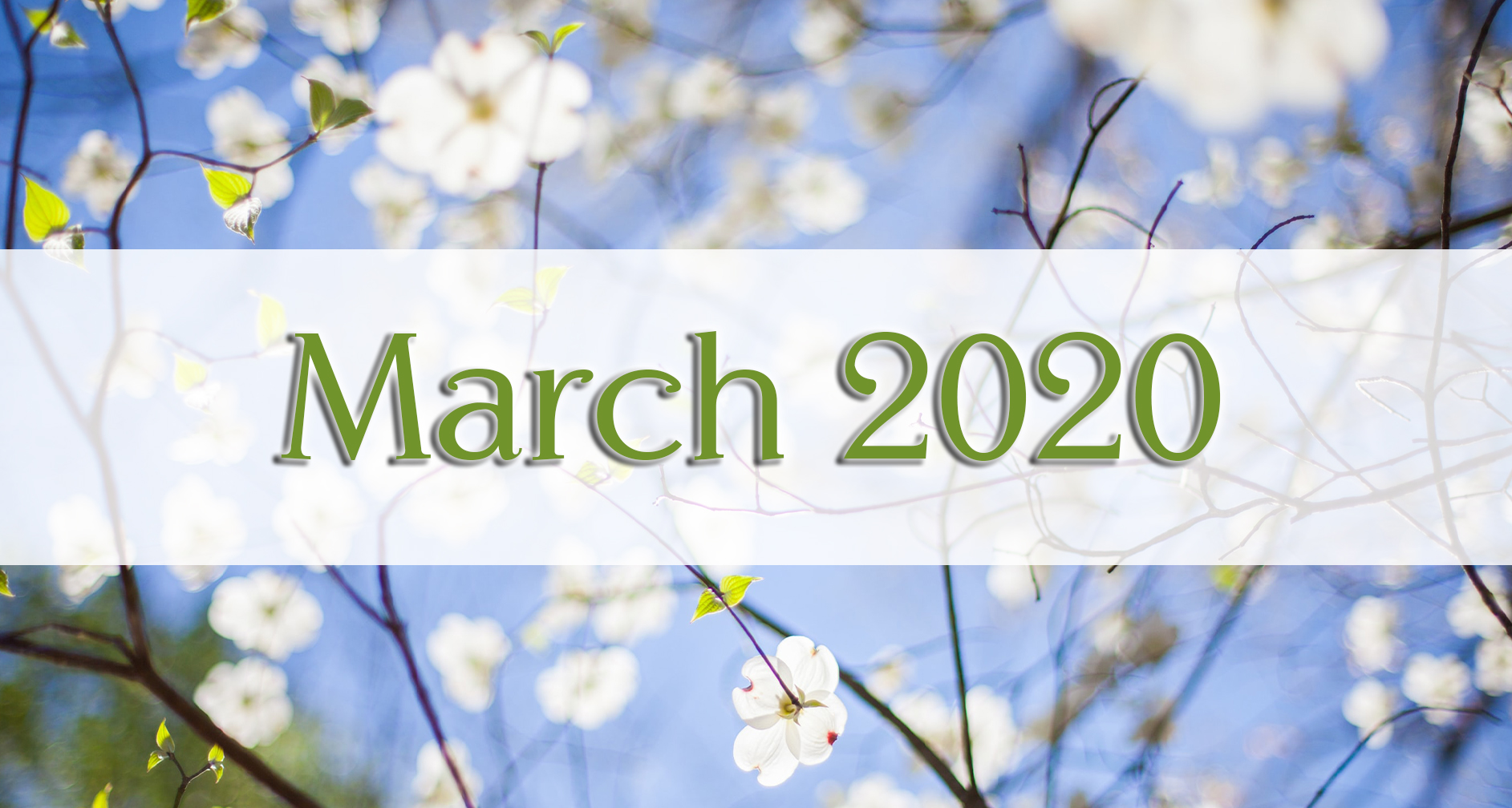 Our March 2020 Newsletter: Medford Design-Build