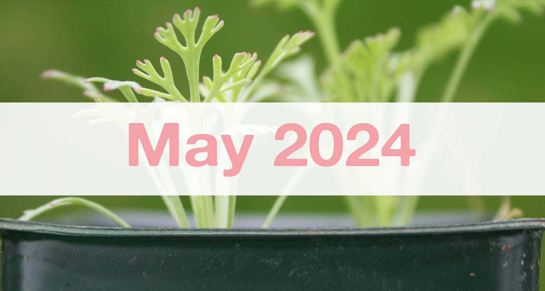 Our May 2024 Newsletter: Medford Remodeling