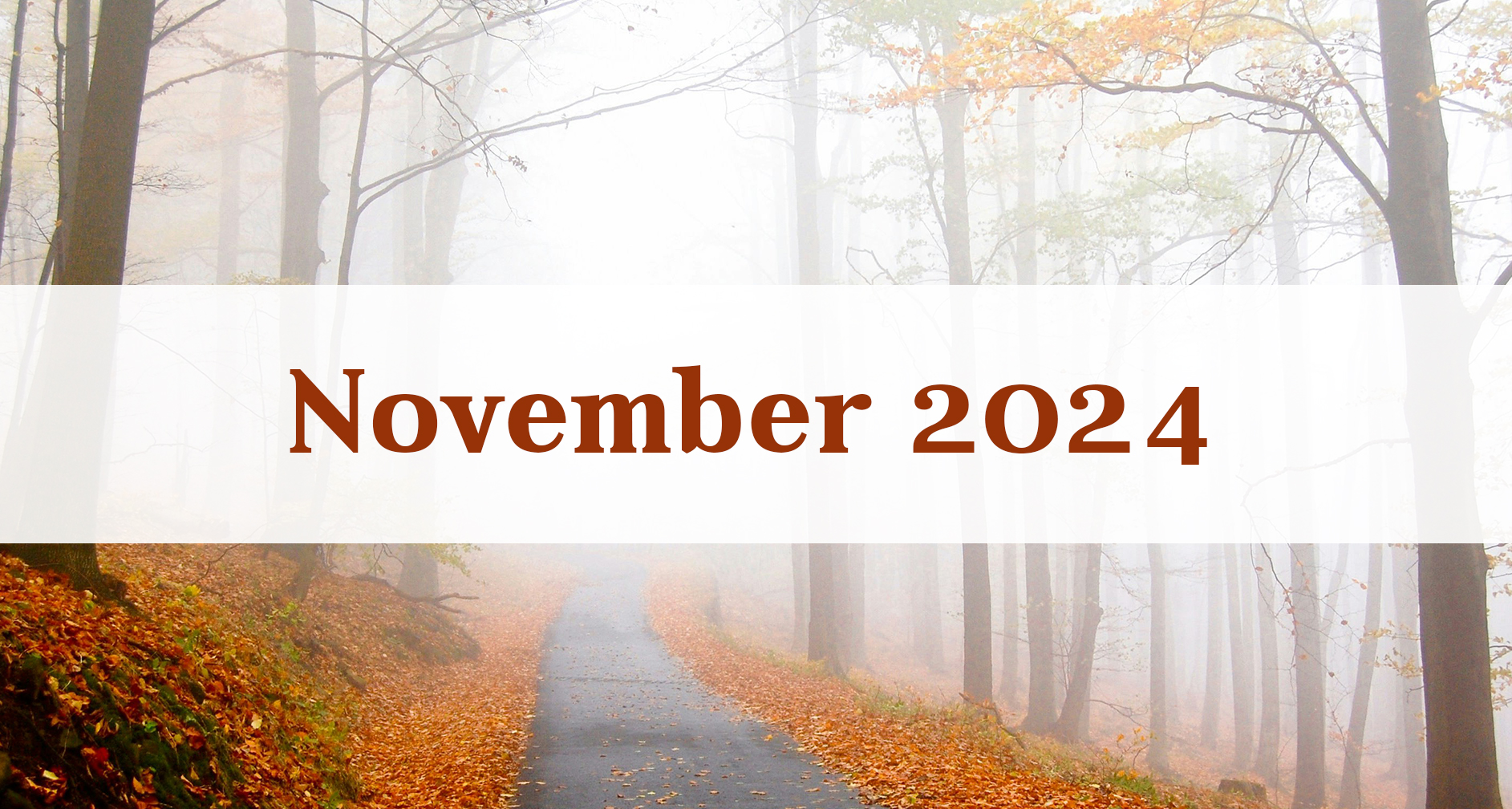 Our November 2024 Newsletter: Medford Remodeling Our November 2024 Newsletter: Medford Remodeling