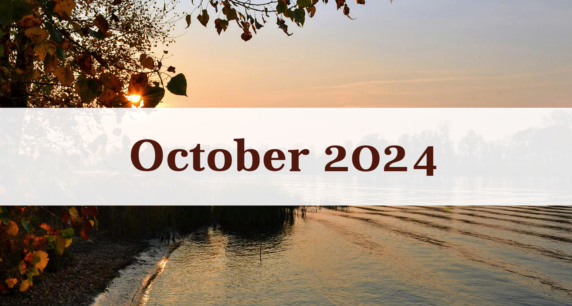 Our October 2024 Newsletter: Medford Remodeling Our October 2024 Newsletter: Medford Remodeling