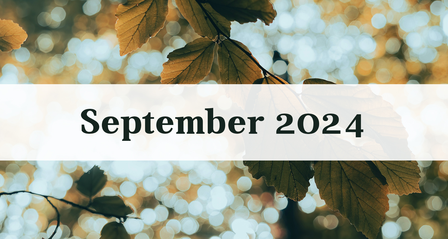 Our September 2024 Newsletter: Medford Remodeling Our September 2024 Newsletter: Medford Remodeling