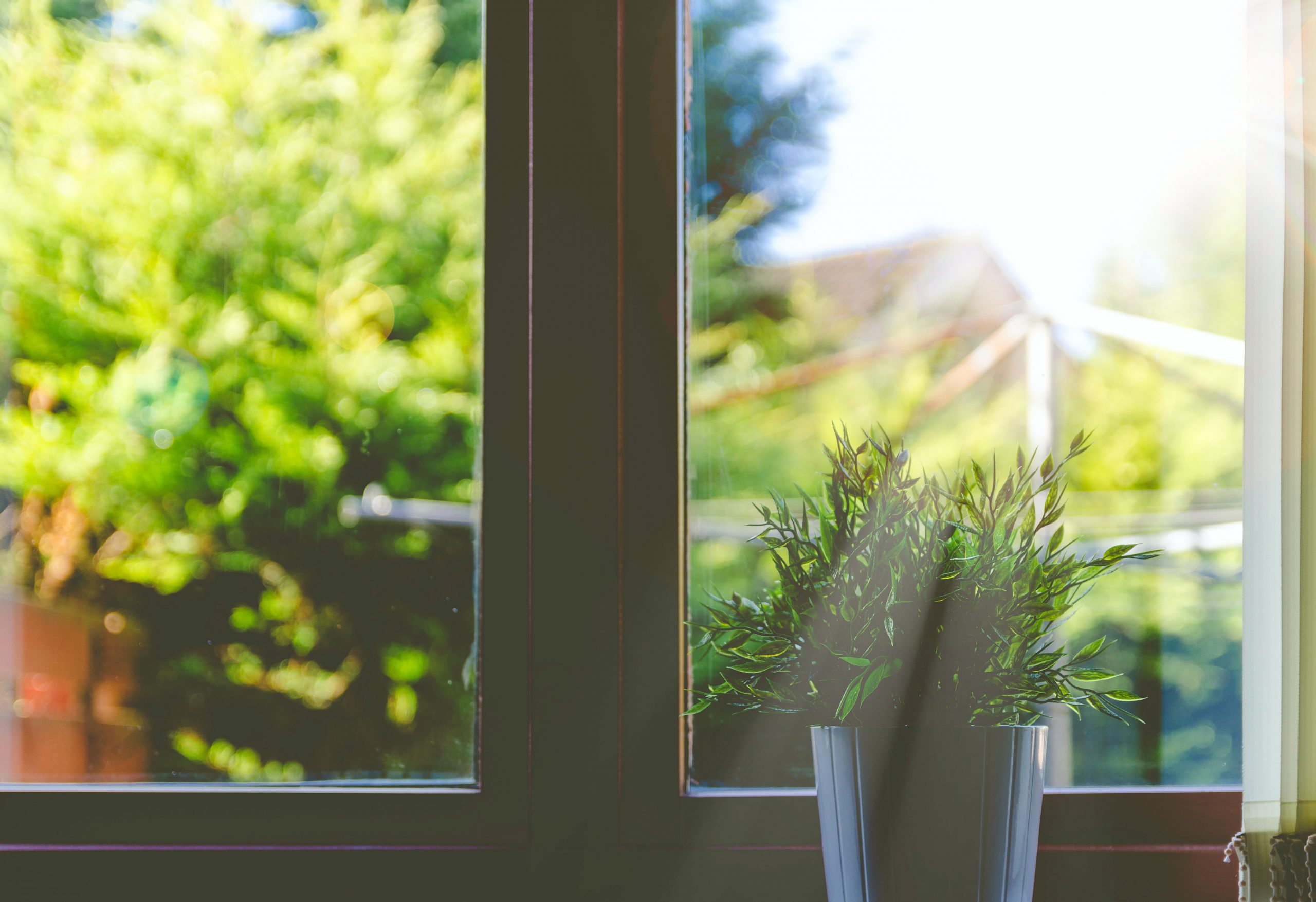 Mike’s Guys Handyman: 5 Signs it’s Time to Replace Your Windows