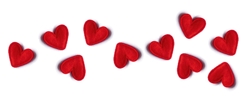 For our valentine: Our February 2017 Newsletter