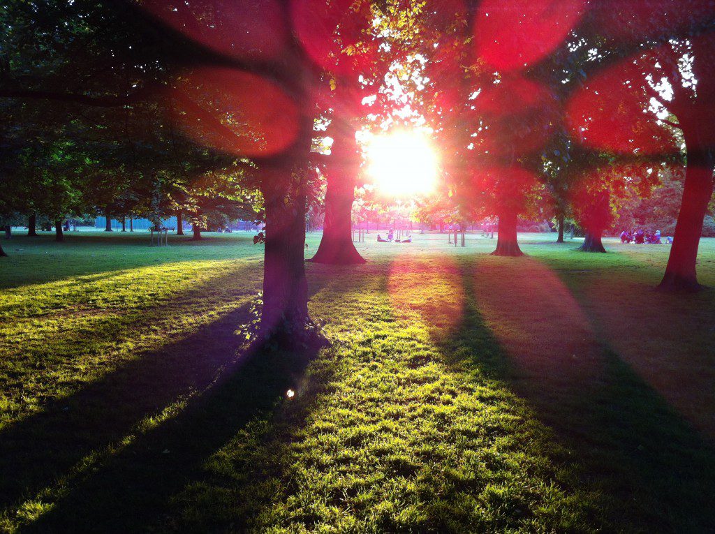 It's Outdoor Living Season! Our March 2016 Newsletter