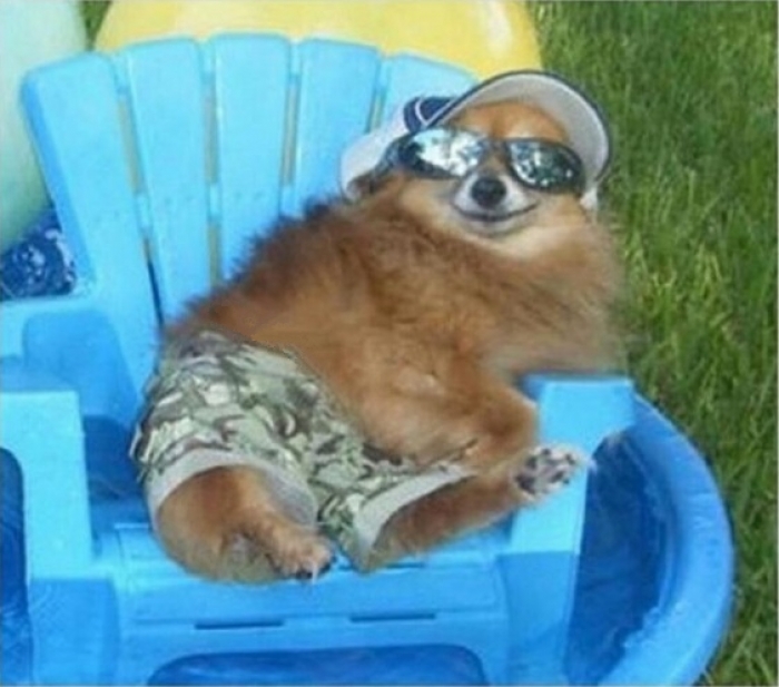 Have You Seen Our Recent Kitchen Transformation? June 2017