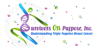 Survivors on Purpose, Inc. Family Fun Day and Chili Cook-off