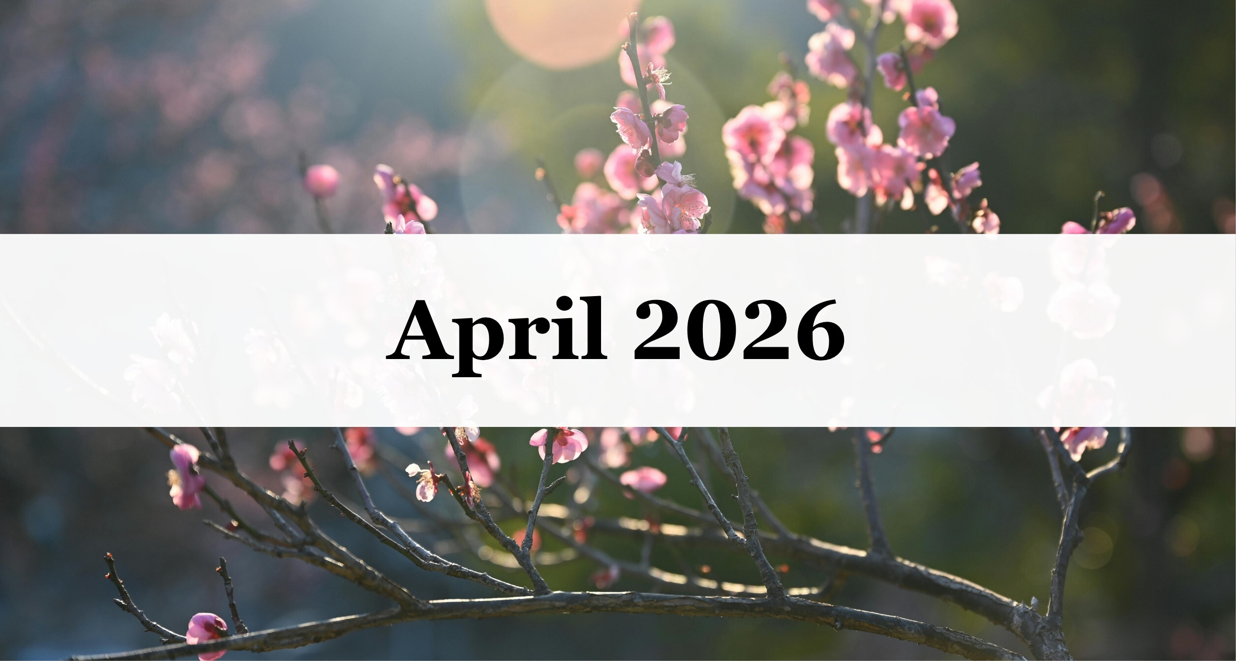 Our April Newsletter