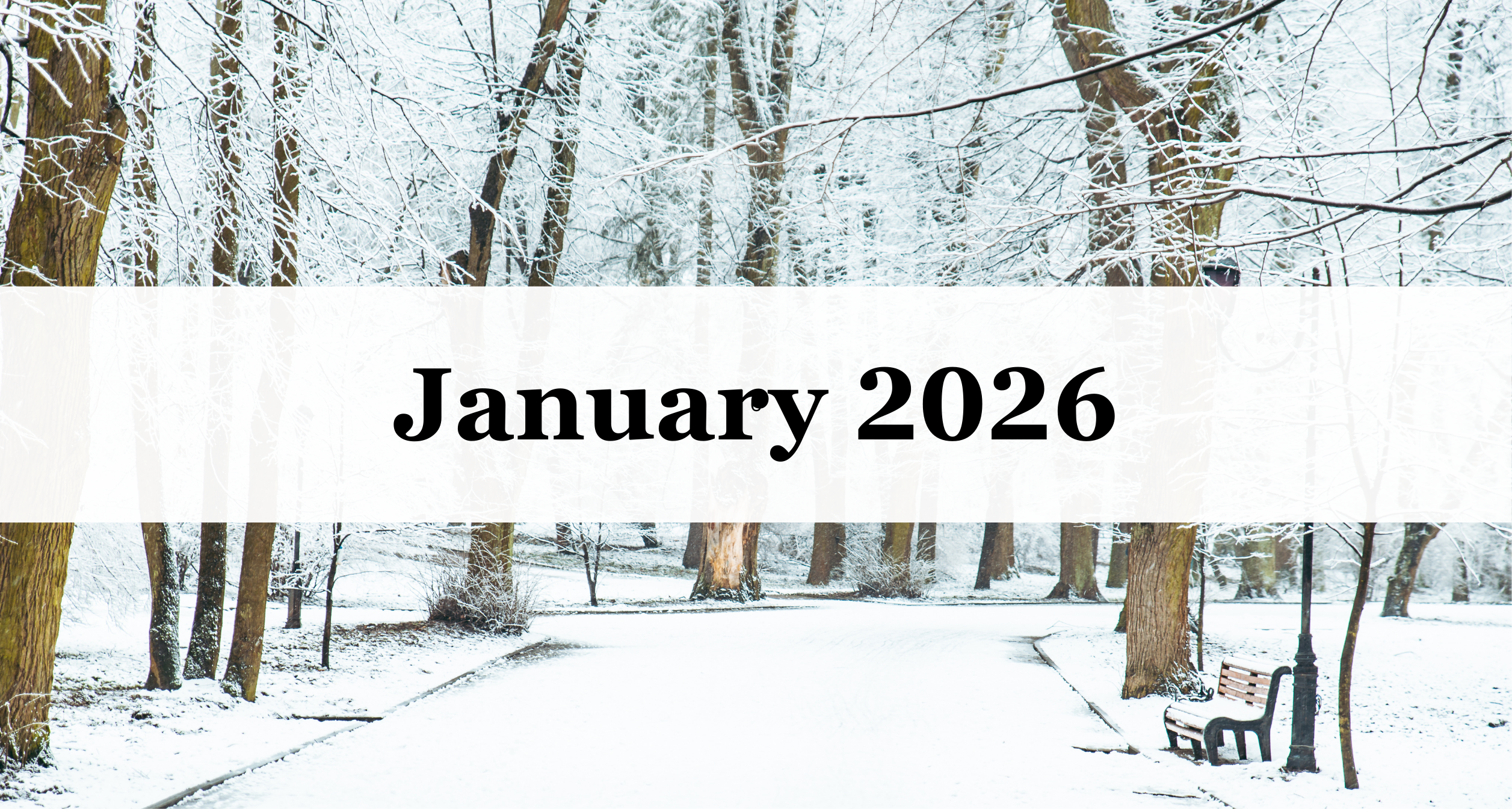 Our January 2026 Newsletter