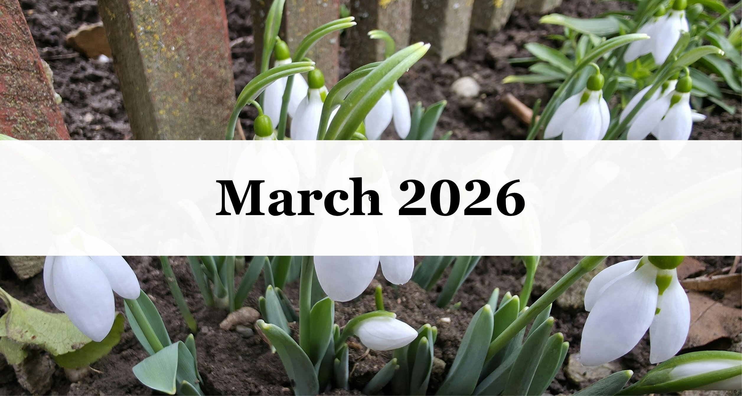 Our March Newsletter