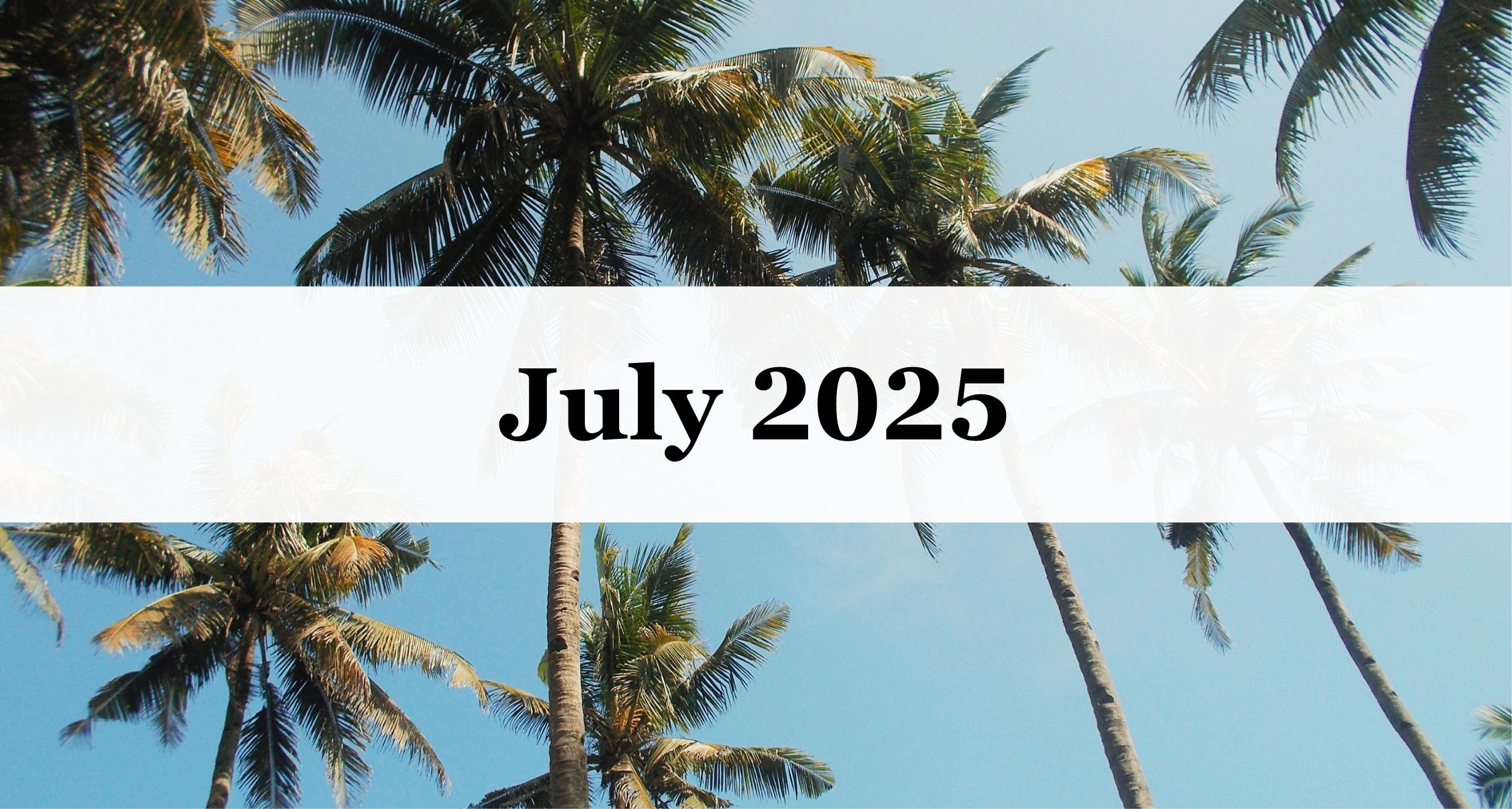 Our July 2025 Newsletter! Our July 2025 Newsletter!