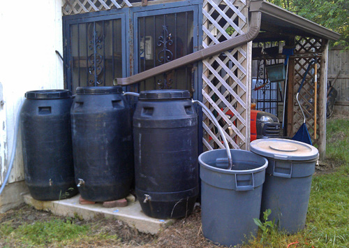 Commercially sold water collection barrels