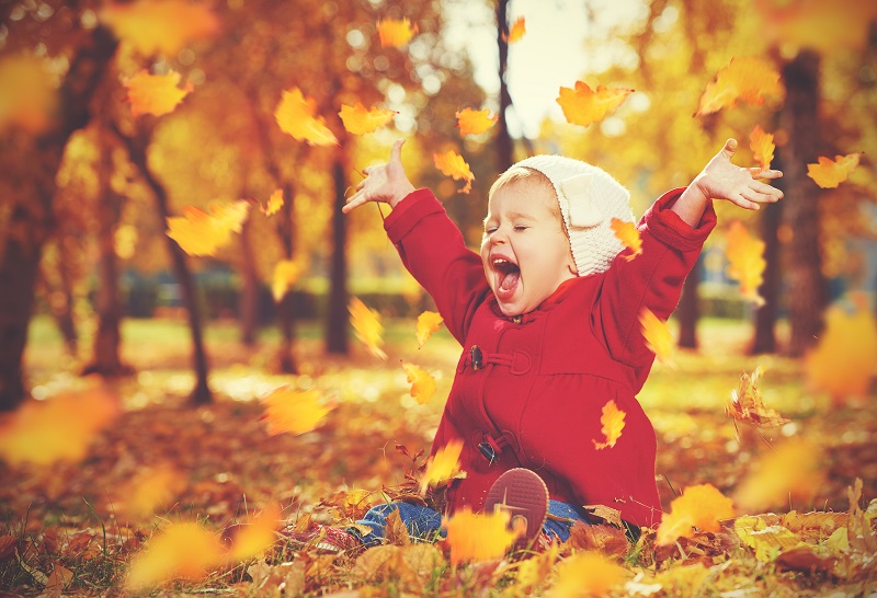 8 Ways to Save Energy this Fall & Winter