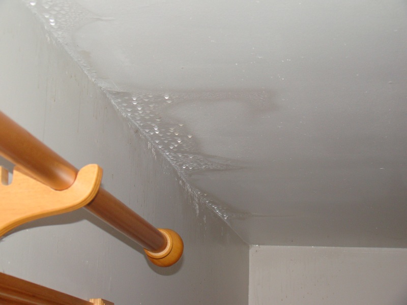3 Steps To Get Rid Of Ceiling Condensation Medford Remodeling