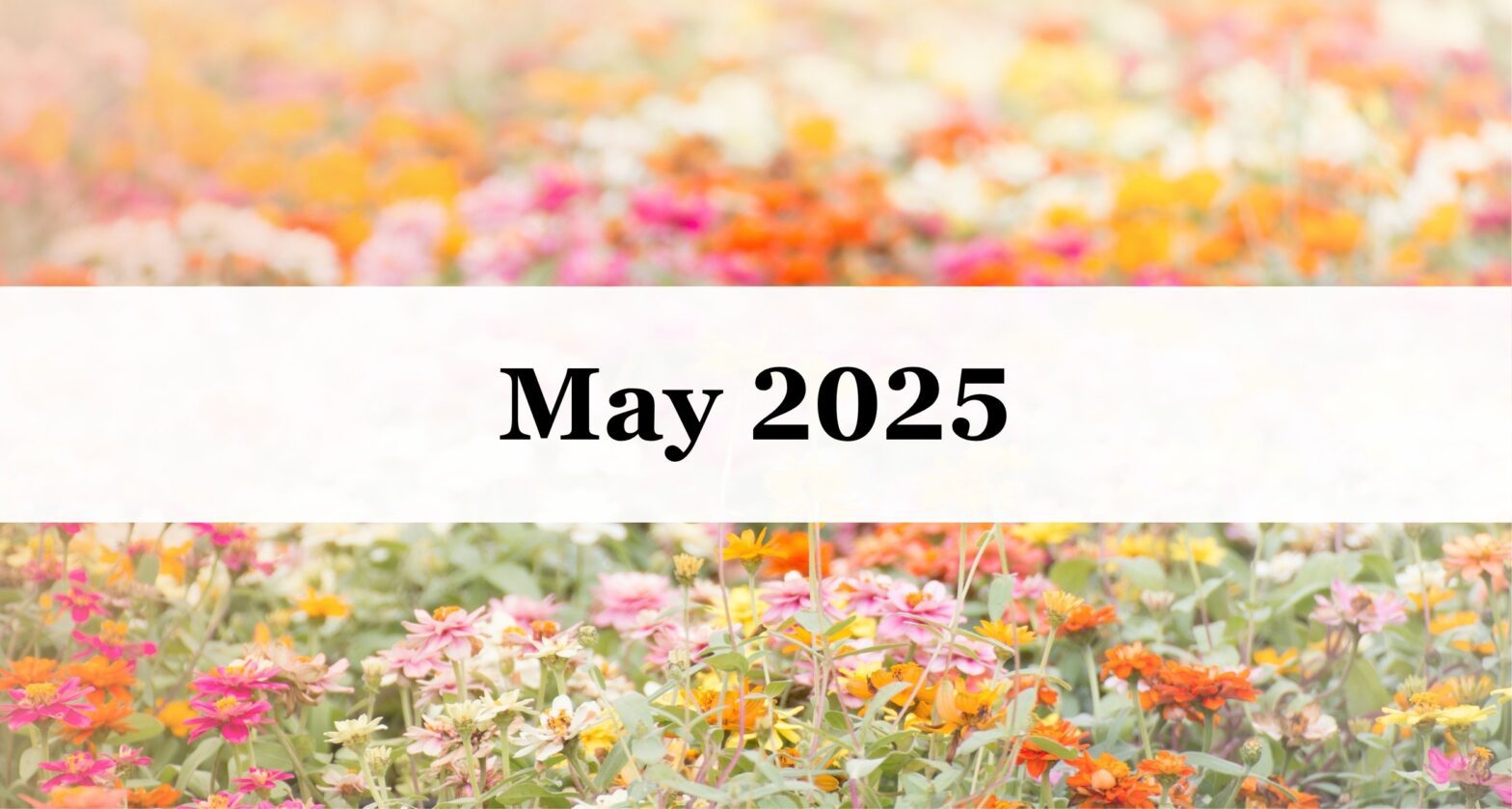 Medford Design-Build's May 2025 newsletter