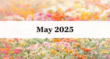 Medford Design-Build's May 2025 newsletter