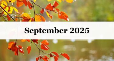 Medford Design-Build September 2025 Newsletter